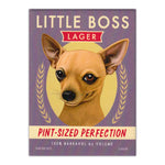 Little Boss Lager, Chihuahua