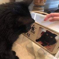 Black Cat Looking at Picture of Himself