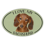 Oval Dog Magnet - I Love My Dachshund