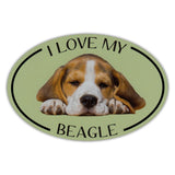 Oval Dog Magnet - I Love My Beagle