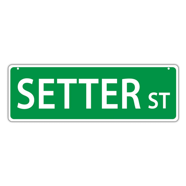 Novelty Street Sign - Setter Street