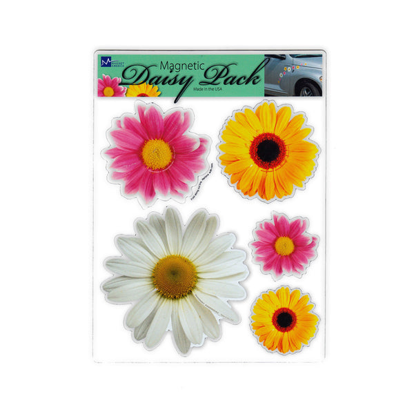 Magnet Variety Pack - Daisy Flowers, 2" to 4" Wide Each