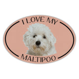 Oval Dog Magnet - I Love My Maltipoo