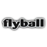 Word Magnet - Flyball (2" x 7")