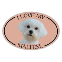 Oval Dog Magnet - I Love My Maltese