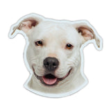 Magnet - American Staffordshire Terrier (4.75" x 4.25")