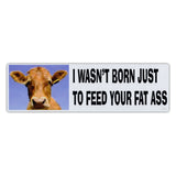 Bumper Sticker - I Wasn't Born Just To Feed Your Fat Ass 