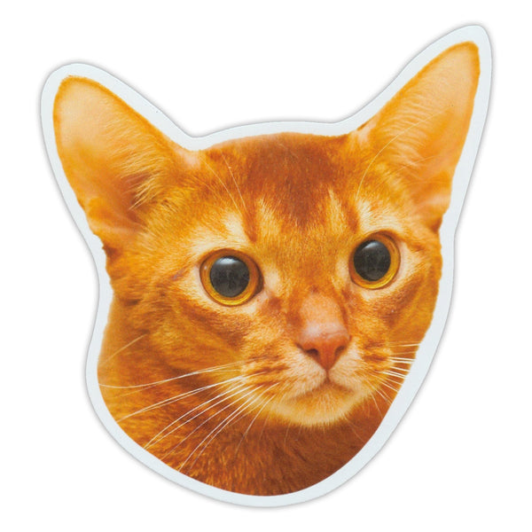 Magnet - Abyssinian Cat Breed (5" x 5.5")