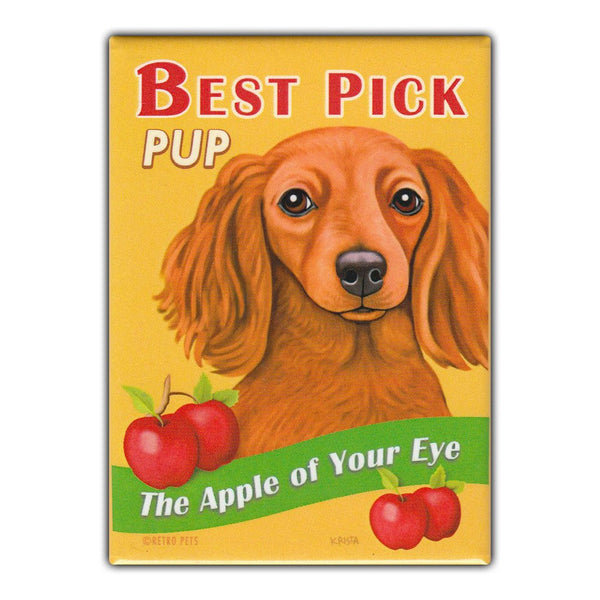 Refrigerator Magnet - Best Pick Pup, Apples, Dachshund