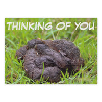Prank Postcards (25-Pack, Thinking of You Dog Poop)